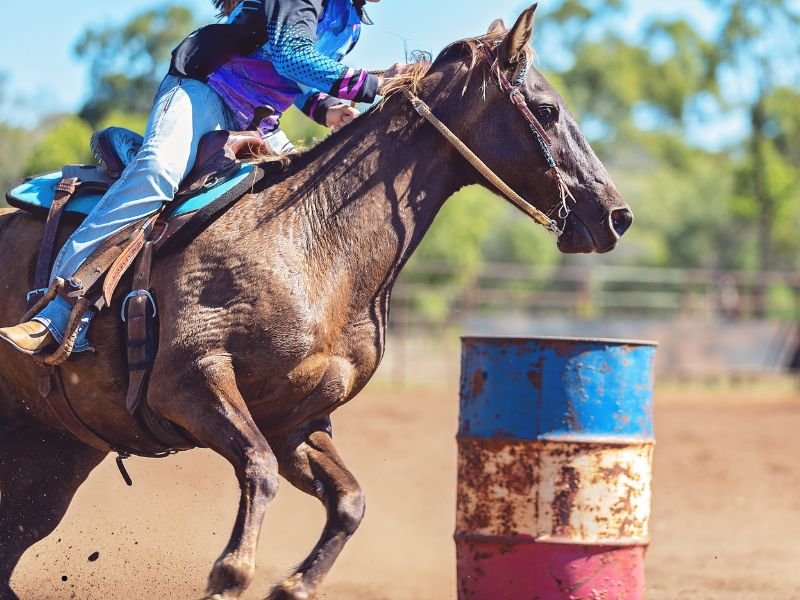 Horse Arrangements and Riders